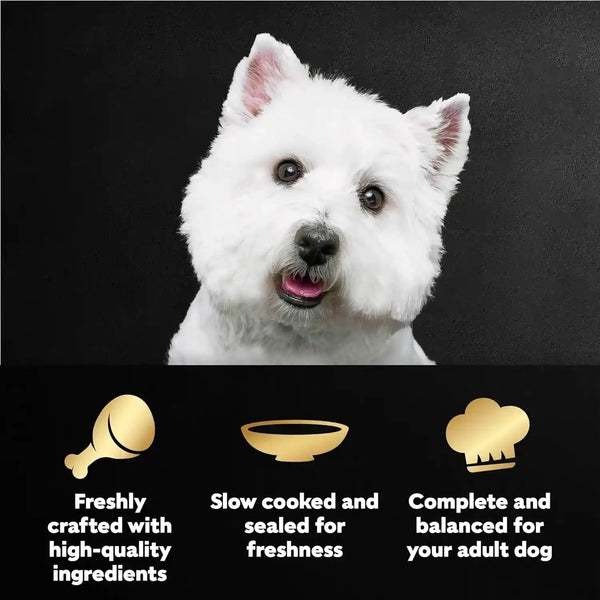 Cesar Mini-Pouch Wet Dog Food, Filet Variety Pack, 1.76 Oz, 40 Count | 3 Flavors: Rotisserie Chicken, Filet Mignon, Wood-Grilled Chicken, Real Chicken or Beef, Easy Peel-And-Serve, Protein-Packed2