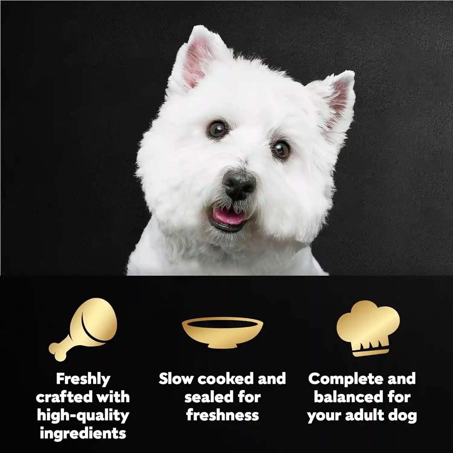 cesar-mini-pouch-wet-dog-food-filet-variety-pack-1-76-oz-40-count-3-flavors-rotisserie-chicken-filet-mignon-wood-grilled-chicken-real-chicken-or-beef-easy-peel-and-serve-protein-packed