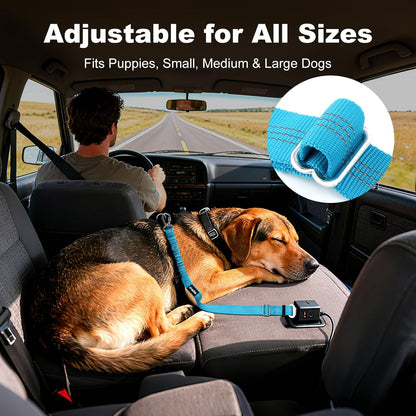 Dog Seat Belt for Car, Car Harness with Locking Aluminum Hook | Adjustable Reflective Nylon Seatbelt with Elastic Bungee, Travel Safety Restraint, for Small Medium Large Dogs, Light Blue4