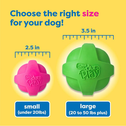 Hartz Duraplay Bacon Scented Dog Toys, Small (Assorted Color)7