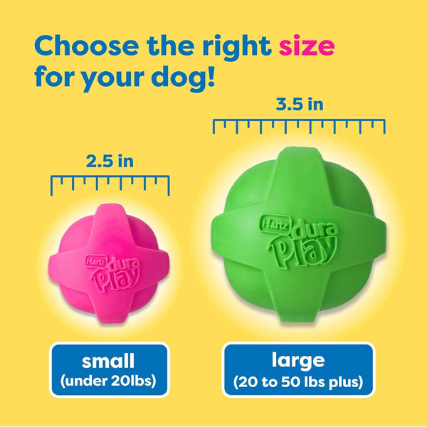 Hartz Duraplay Bacon Scented Dog Toys, Small (Assorted Color)7