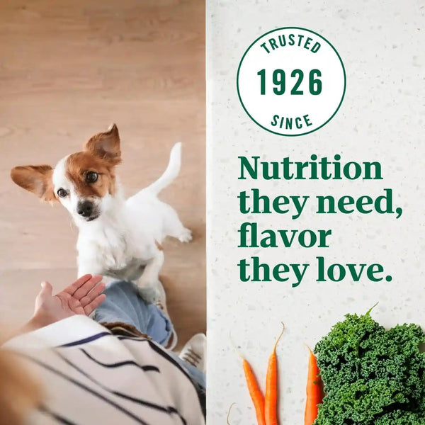 Nutro Ultra Toy Breed Adult Dry Dog Food, Chicken, Lamb & Salmon, 3.5 Lb | Protein Trio, Real Chicken #1 Ingredient, 14 Superfoods Blend, Non-Gmo, No Corn, Wheat or Soy, Radiant Coat Support10
