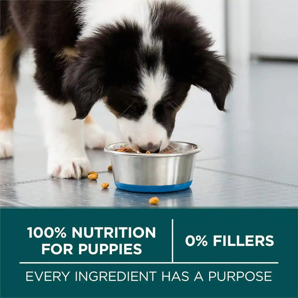 Purina ONE plus Puppy Dry Dog Food for Large Dogs High Protein Growth Support, Real Chicken - 31.1 Lb Bag9