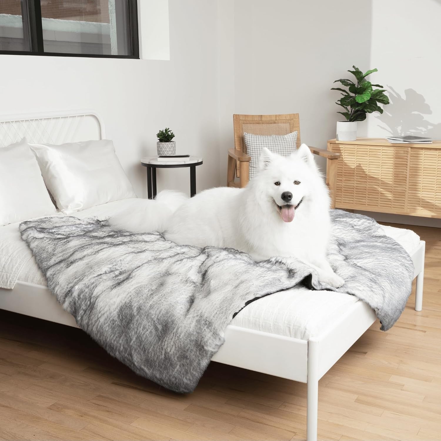 paw-brands-pupprotector-waterproof-throw-blanket-white-brown-60x50-waterproof-machine-washable-protects-couches-beds-car-seats