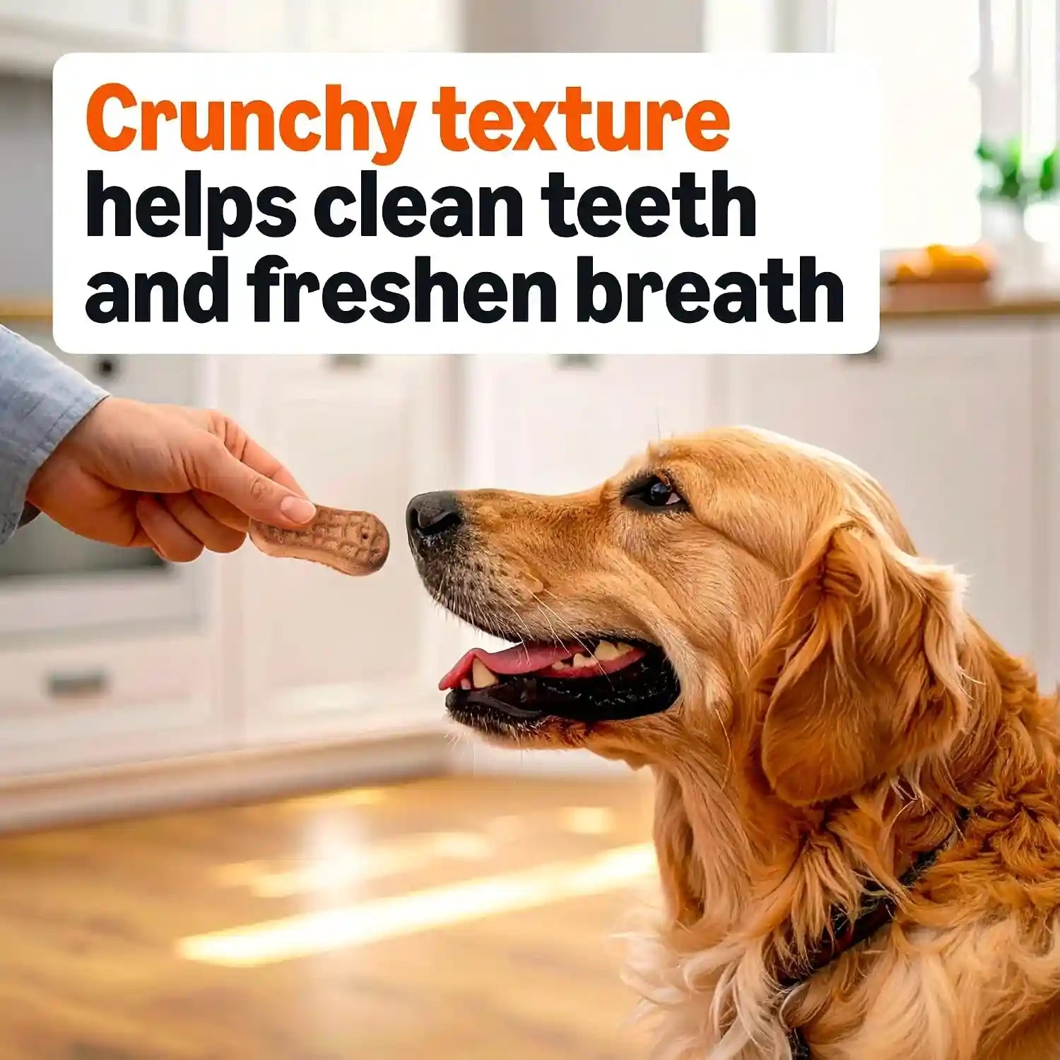 amazon-basics-crunchy-dog-biscuits-peanut-butter-flavor-dog-treats-5-lb-box