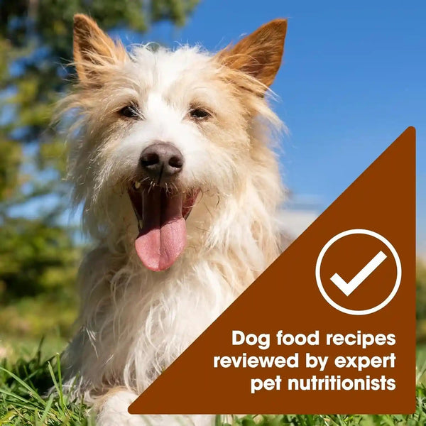Nature'S Recipe Grain Free Wet Dog Food Variety Pack, Chicken Recipes with Beef, Turkey & Lamb in Savory Broth, 2.75 Oz. Cups (Pack of 12), 2 Count5