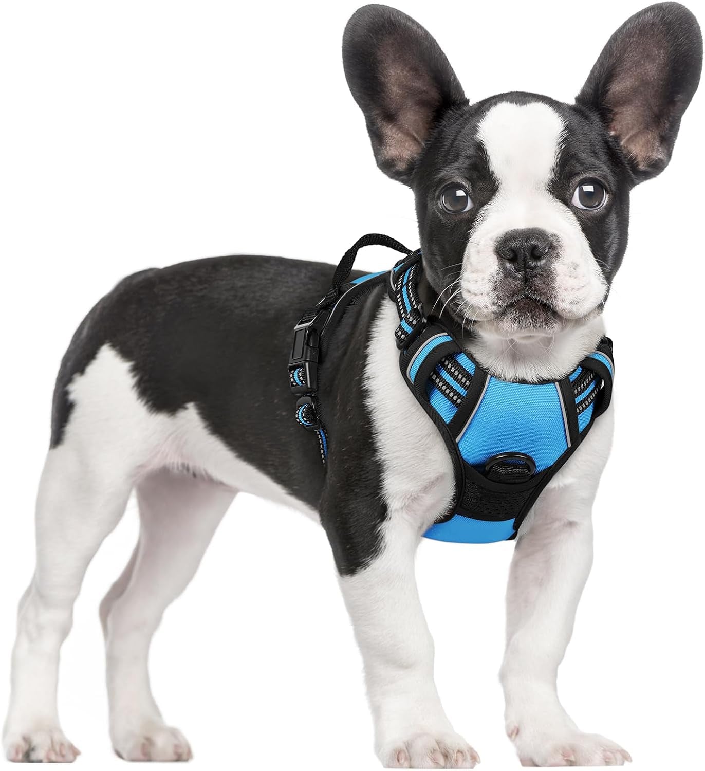 rabbitgoo-dog-harness-no-pull-for-large-dogs-with-2-leash-clips-pet-vest-no-choke-with-handle-adjustable-soft-padded-reflective-easy-control-for-walking-black-large