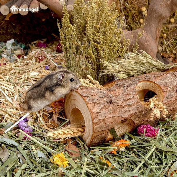 Niteangel Natural Wooden Hamster Mouse Tunnel Tube Toy Forest Hollow Tree Trunk4