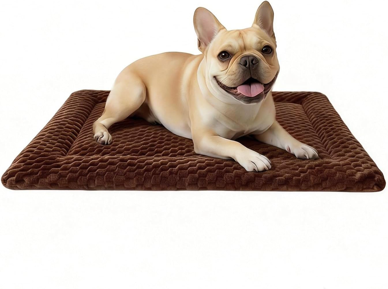 dog-bed-mat-dual-sided-dog-crate-bed-mat-ultra-soft-machine-washable-kennel-pad-for-small-dogs-all-season-comfort-pet-bed-for-crates-travel-and-home-star-gray-24-x-16-inch