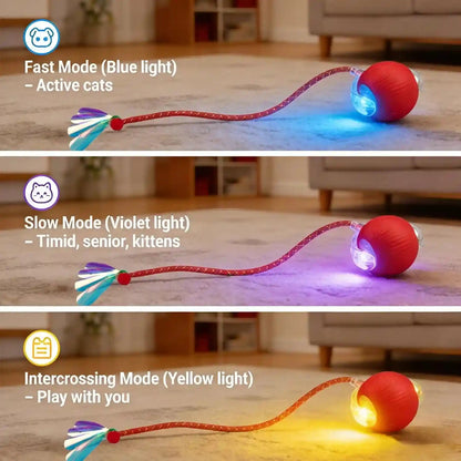 Interactive Cat Toy Ball, Smart Moving Pet Toy for Cats & Dogs | Cat Toys for Indoor Cats | Speedy Tail 2.0 Cat Toy|Cat Teaser Toy|Interactive Motion Activated Cat Toys| Stimulating Cat Toys2
