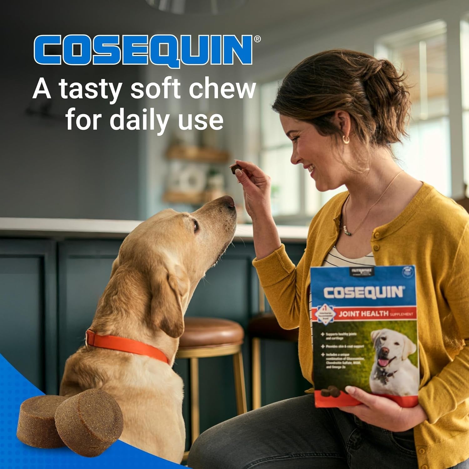 nutramax-cosequin-dog-joint-supplement-skin-coat-soft-chews-60ct-glucosamine-chondroitin-for-dogs-with-msm-omega-3s-supports-joints-skin-and-coat-health-all-ages-sizes