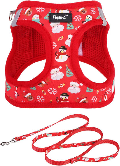 PUPTECK Dog Harness and Leash Set for Small Medium Dogs No Pull Step-In Soft Mesh Puppy Cat Vest Harnesses Reflective at Night, Green S19
