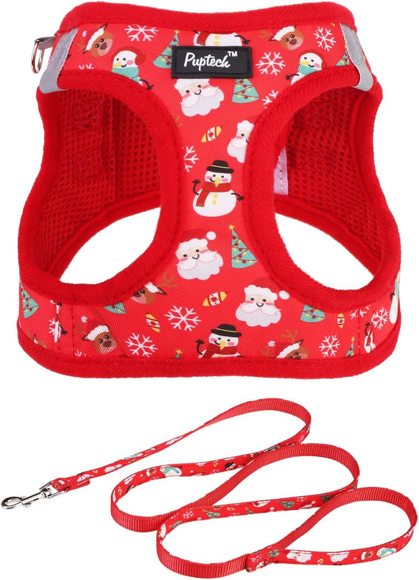 PUPTECK Dog Harness and Leash Set for Small Medium Dogs No Pull Step-In Soft Mesh Puppy Cat Vest Harnesses Reflective at Night, Green S19