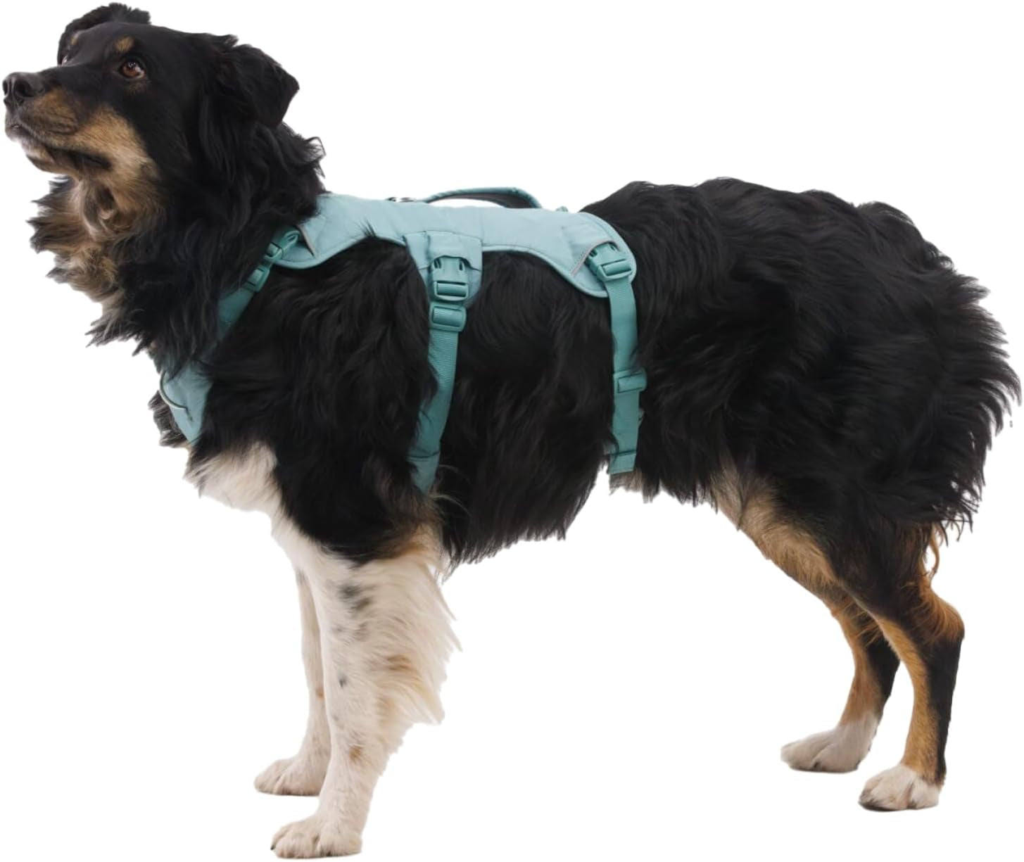 ruffwear-web-master-multi-use-support-dog-harness-hiking-and-trail-running-service-and-working-everyday-wear-basalt-gray-x-small
