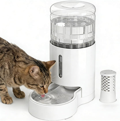 JUNSPOW Cat Water Dispenser and Stainless Steel Bowl | Automatic Gravity Water Dispenser for Cats or Small Medium Size Dogs, Large Capacity, Easy to Clean and Safe for Pets10
