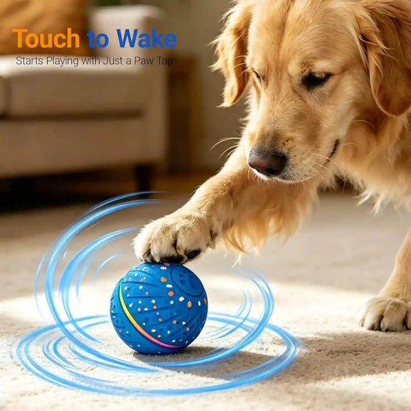 Interactive Dog Ball Toy for Small Medium Dogs – Automatic Rolling, Bouncing & Moving Dog Toy with LED Lights, 2-In-1 Fetch Toy, Durable E-TPU, USB Rechargeable (2.8” Blue)7