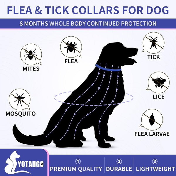 YOTANGO Flea Collar for Dogs, Dog Flea and Tick Collar, 4 Pack, 32 Months | Waterproof, Adjustable, and Lightweight for Dogs and Puppies. Four Collars Offer 32 Months and Start within 24 Hours.2