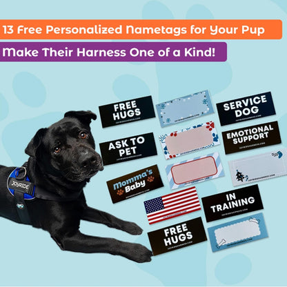 Joyride Dog Harness 2.0 | No-Pull | Blue 2.0 | M | Reflective No-Choke Quick-Fit Vest with 3 Leash Clips and Escape-Resistant Design for Easier Walks and Training4
