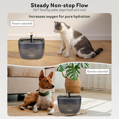 Automatic Cat Feeder and Water Dispenser FW1, Wire or Battery Cat Food Dispenser Timer Pet Feeder - Locking Lid, Desiccant Bag, Programmable Portion Control, 4 Daily Meals, 10S Voice Recorder4
