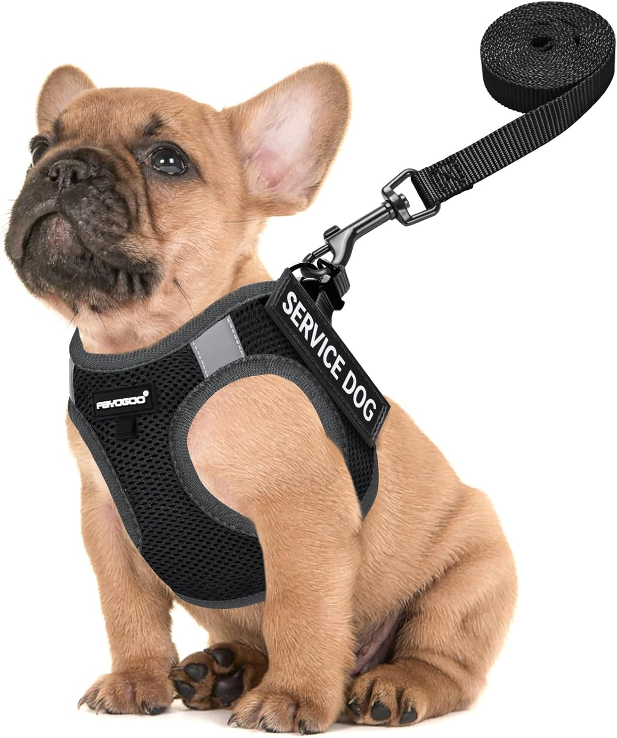 fayogoo-service-dog-vest-for-small-dogs-lightweight-dog-harness-with-6pcs-removable-patches-puppy-harness-and-leash-set-for-walking-training