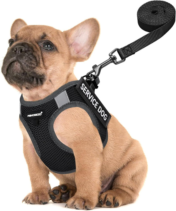 FAYOGOO Service Dog Vest for Small Dogs - Lightweight Dog Harness with 6PCS Removable Patches - Puppy Harness and Leash Set for Walking,Training12