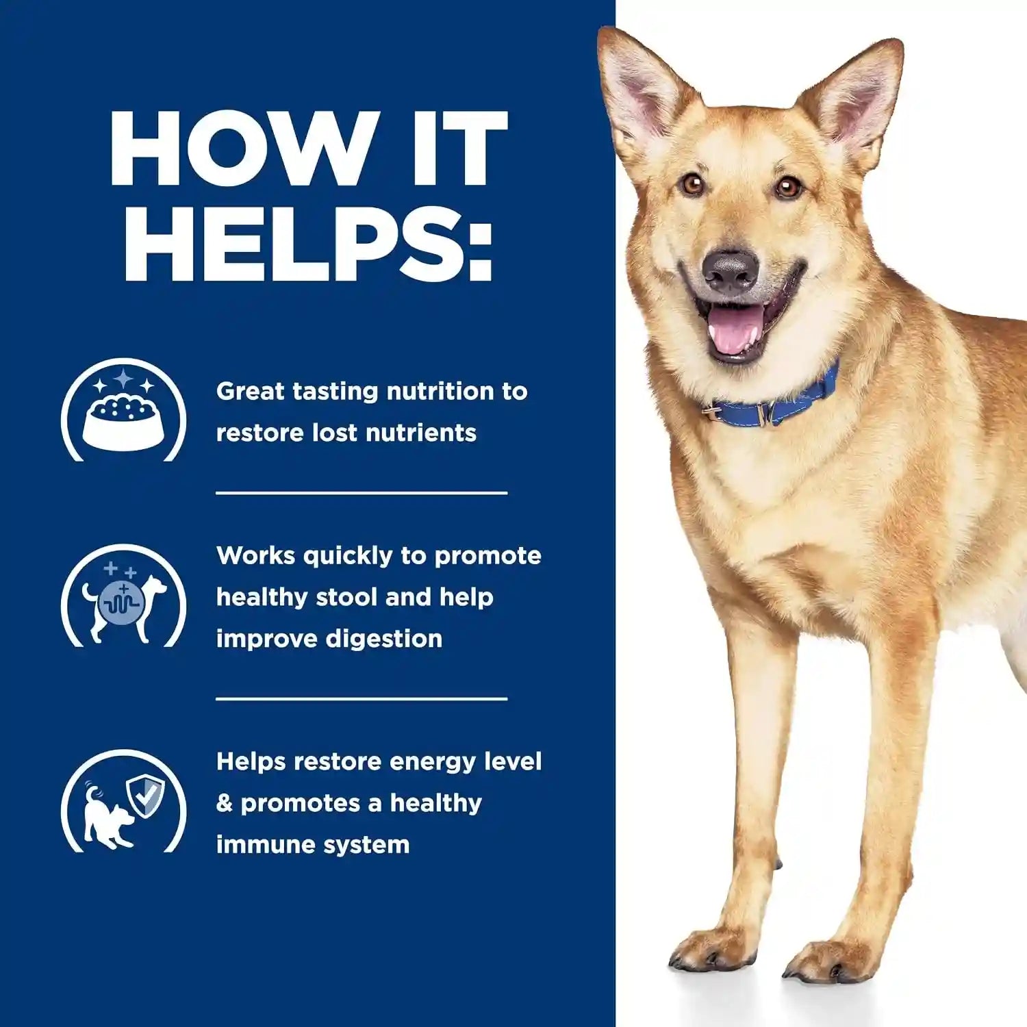 hills-prescription-diet-i-d-digestive-care-wet-dog-food-1-veterinarian-recommended-chicken-vegetable-stew-12-5-oz-cans-12-pack