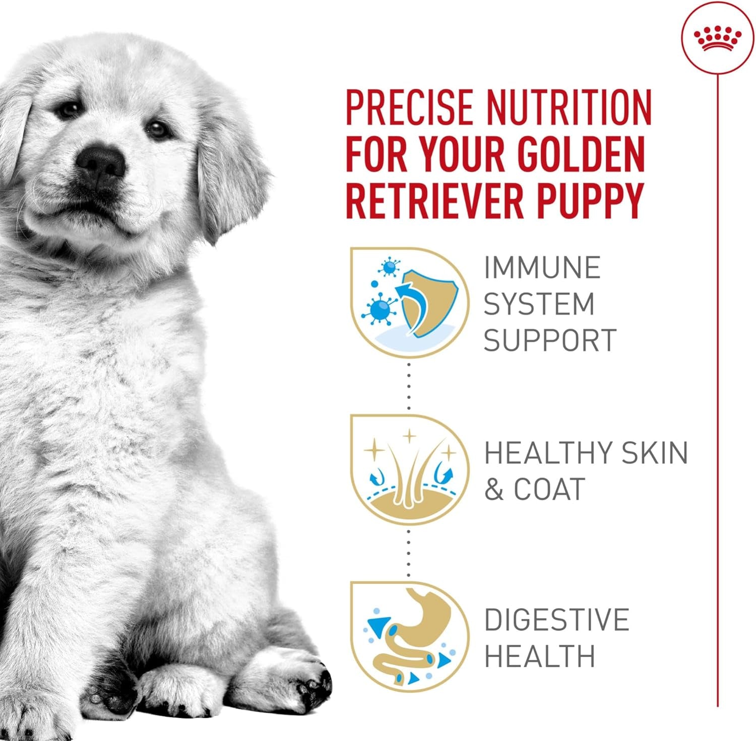 royal-canin-breed-health-nutrition-golden-retriever-puppy-dry-dog-food-30-lb-bag-specialized-nutrition-for-growth-supports-healthy-skin-and-coat-antioxidant-rich-recipe-30-pound-bag
