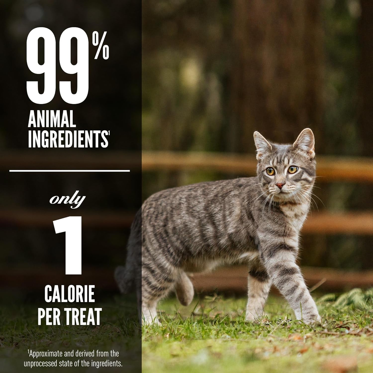 orijen-freeze-dried-cat-treats-grain-free-original-1-25oz-bag-99-animal-ingredients-freeze-dried-grain-free-high-protein-wild-caught-fish-free-run-poultry-1-calorie-each