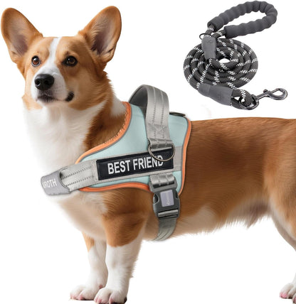 AUROTH Dog Harness and Leash Set, Soft Padded Service Dog Vest with 5.25FT Dog Leash, No Choke, Easy on Pet Vest, Adjustable Reflective No Pull Pet Vest Medium Sized Dog, Easy Walking and Training24
