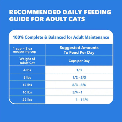 IAMS Healthy Enjoyment Dry Cat Food, Chicken & Salmon Recipe, 3 Lb | Vet-Recommended, Real Chicken #1 Ingredient, Natural Fiber & Prebiotics, Supports Immune & Digestive Health, Muscle Care10