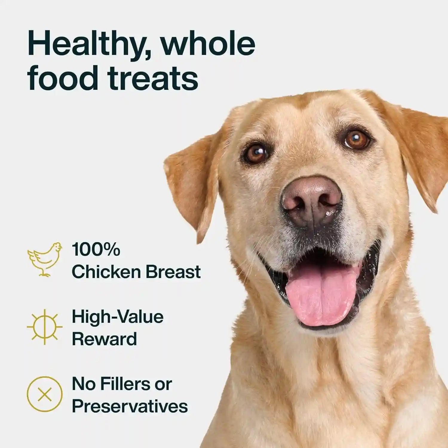 just-food-for-dogs-single-ingredient-healthy-dog-treats-and-dog-snacks-jerky-treats-human-grade-preservative-and-grain-free-rawhide-free-chews-low-calorie-treat-chicken-breast-5-oz-human-grade-chicken-treats-for-dogs-jerky-dog-snacks-preservative-grain-free-rawhide-free-chews-low-calorie-treat