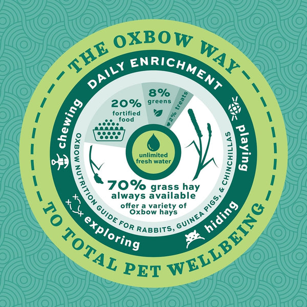 Oxbow Forage Wise Adult Guinea Pig Food, Foraging Pellet Mix, 4 Lb | Guinea Pig Pellets, Foraging Mix with Timothy Hay and Vitamin C, Prevents Selective Feeding, No Artificials, Made in USA9