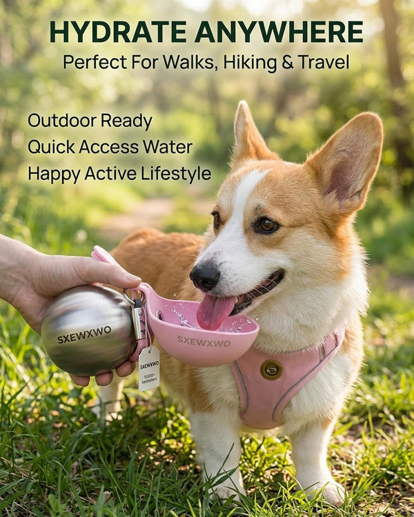 The 2-In-1 Dog Water Bottle & Bowl 2026 New Portable Trave Pet Dispenser Perros Silicone Water Ball Spill Proof Container Design on Walks Walking Hiking Insulated round Botella Animal (Blue)2
