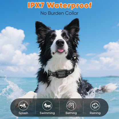 Dog Shock Collar 2 Dogs, 3300Ft Dog Training Collar with Remote, Real-Time Dual-Channel Remote with 3 Training Modes, Beep, Vibration, Safety Shock, Light, Fits 8-120 Lbs All Breeds Sizes - Orange6