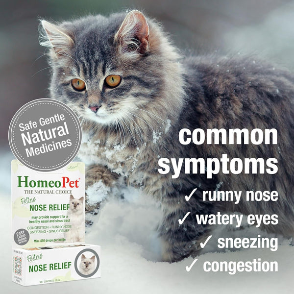 Homeopet Feline Nose Relief, Nasal Supplement for Cats, 15 Milliliters | Natural Nasal and Sinus Support for Cats, Safe and Gentle Homeopathic Formula, Liquid Drops Suitable for Daily Use4