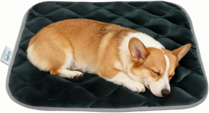 Furrybaby Dog Bed Mat Flat Crate Mat with Anti-Slip Bottom Machine Washable Pet Kennel Pad for Dog Sleeping (XS 22X13'', Grey Mat)8