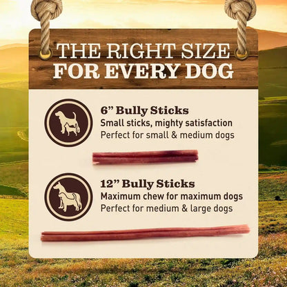 Pet Odor-Free Standard Bully Sticks (12", 5 Pack) – 100% Grass-Fed Beef Pizzle Dog Chews, Fully Digestible & Long-Lasting Dental Treats6