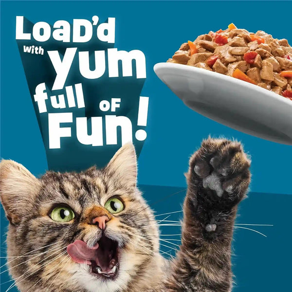 Purina Friskies Fully Load’D Wet Cat Food Variety Pack with Chicken, Salmon, or Tuna in Wet Cat Food Gravy - 5.5 Ounce (Pack of 12)5