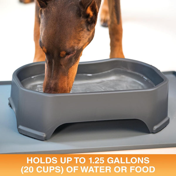Neater Pet Brands Extra Large Water Bowl for Dogs, Outdoor Dog Water Bowl (1.25 Gallon XL Capacity), Big Trough Style Food Dish for Indoors or Outside, No Spill Large Dog Bowls, Gunmetal Grey2
