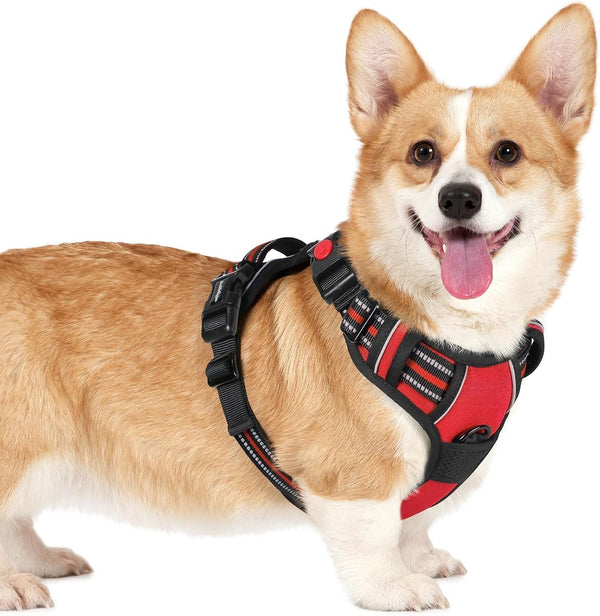Rabbitgoo Dog Harness Medium Sized, Updated Easy on & off with 3 Buckles | No Pull No Choke, Walking with 2 Clips and Handle, Adjustable Soft Reflective, Blue, Medium45
