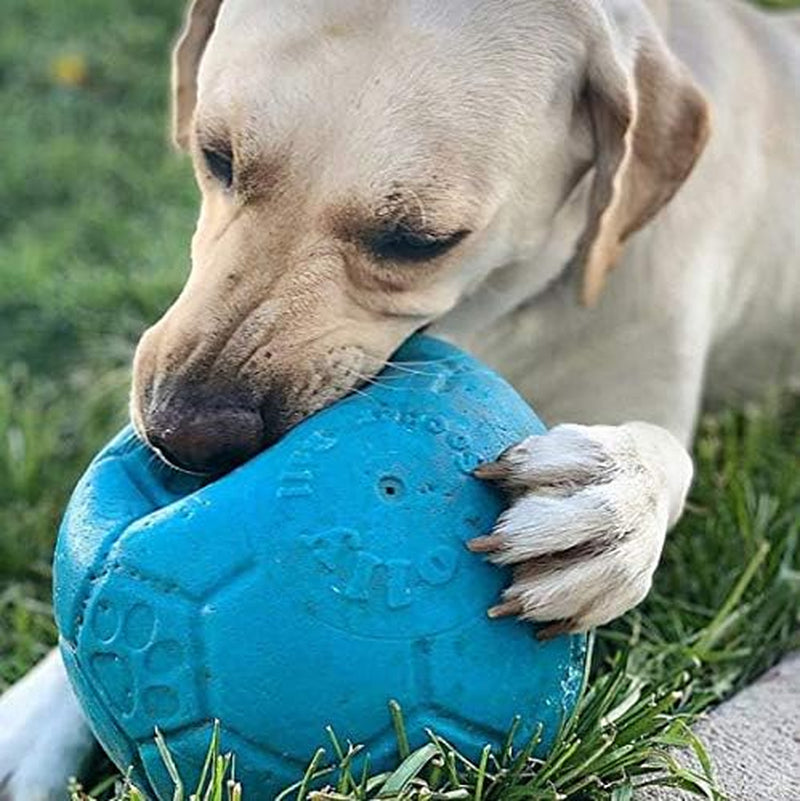 jolly-pets-large-soccer-ball-floating-bouncing-dog-toy-8-inch-diameter-ocean-blue-large-8-inch-durable-dog-soccer-ball-for-dogs-60-to-90-lbs-wont-deflate-when-punctured-floats-for-water-play-made-in-usa