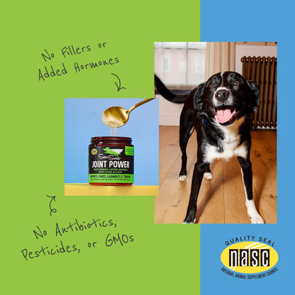 Joint Power Supplement Powder for Dogs & Cats, 2.64 Oz Jar | Joint Supplement Powder Made with 100% Green Lipped Mussels to Support Joints, Tendons, and Ligaments5