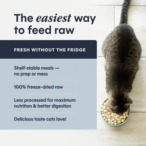 Instinct Freeze Dried Raw Meals, Natural Cat Food, Chicken, 9.5 Oz. Bag | Freshdried Raw, 93% Meat & Organs, 7% Non-Gmo Vegetables, Fruits & Other Wholesome Ingredients, Supports Overall Vitality5