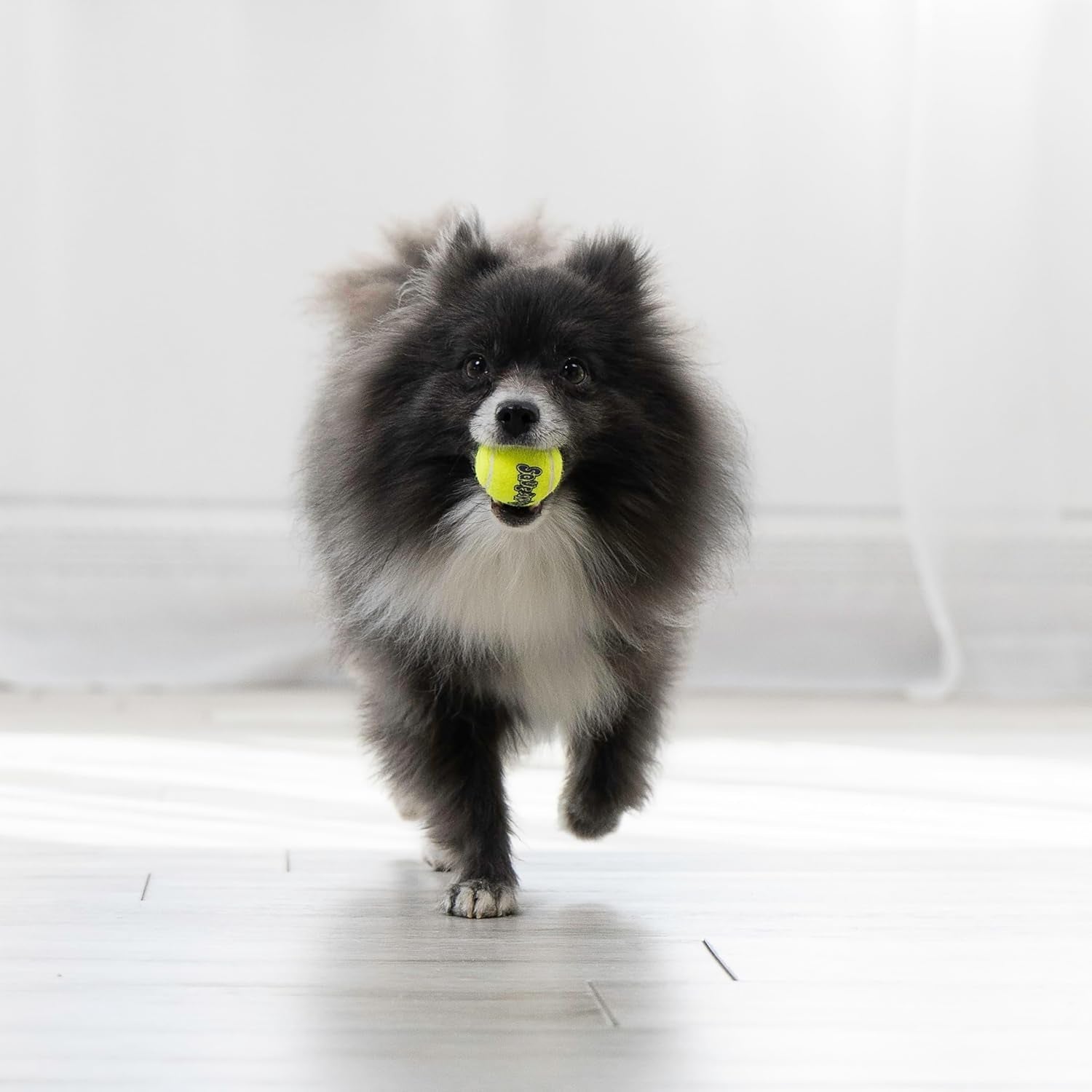 kong-squeakair-ball-dog-toy-premium-squeak-tennis-ball-gentle-on-teeth-x-small-6-pack