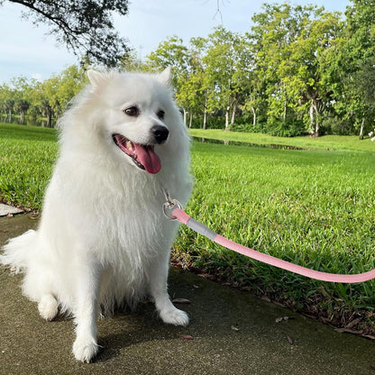 Mile High Life Dog Leash, 6FT X 1/2IN Pink, with Padded Handle | Heavy-Duty Nylon Rope Leash with Soft Handle & Steel Tips. Comfortable Grip for Daily Walks with Small to Large Dogs.7