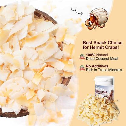 Hermit Crab Food – Baked Coconut Treat, Natural Dried Coconut Flakes for Hermit Crabs, Healthy, Additive-Free, Easily Digestible, Crispy Snack | 60G4