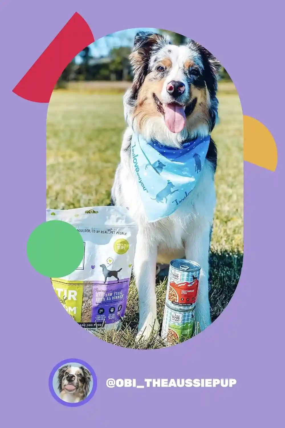 i-and-love-and-you-wet-dog-food-baad-mooon-on-the-rise-variety-pack-beef-lamb-grain-free-filler-free-13oz-can-6pk