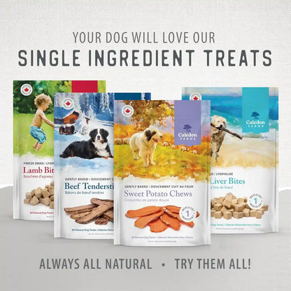 Caledon Farms Value Pack Beef Tendersticks All Natural Dog Treats 340G/12OZ11