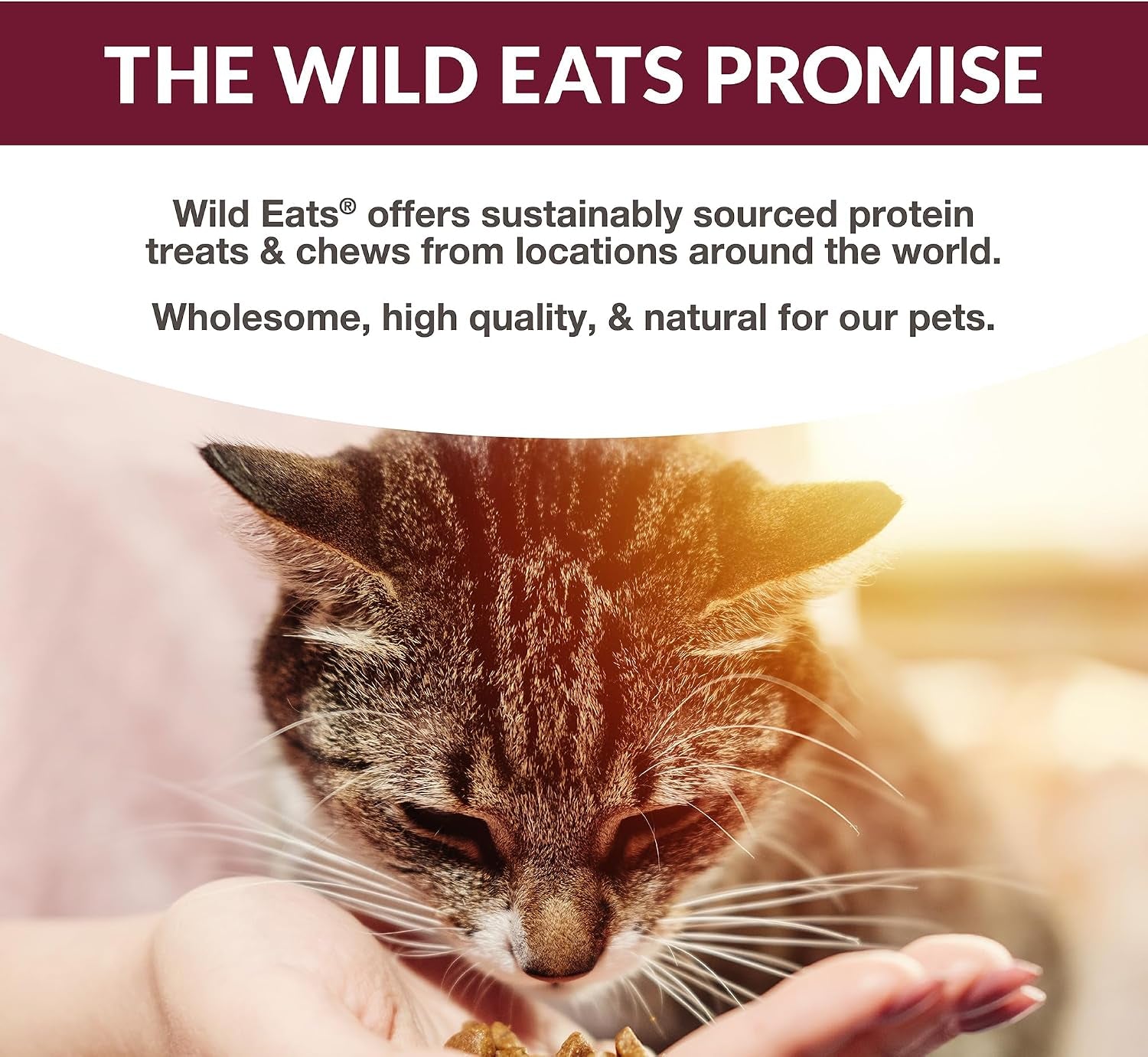 wild-eats-simply-puree-variety-pack-cat-treats-tub-48-servings-grain-free-all-natural-high-protein-recipe-no-artificial-additives-smooth-lickable-texture-easy-individual-portions-for-happy-felines