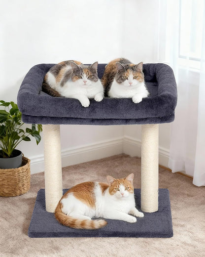 19" Small Cat Tree with Scratching Post for Indoor Cats with Perch | Dark Gray, Removable 19"×15.8" Perch Bed, Dual Natural Sisal Scratcher,Small Cat Tower,Space-Saving6